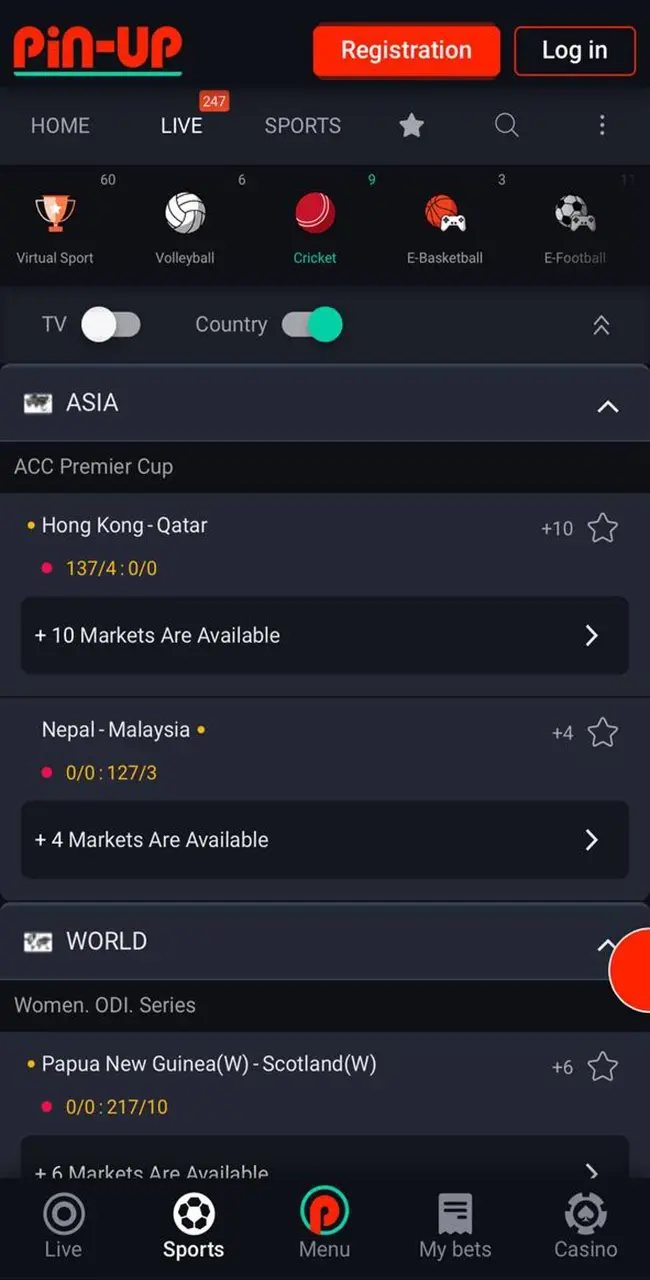 Pin Up App Betting options.