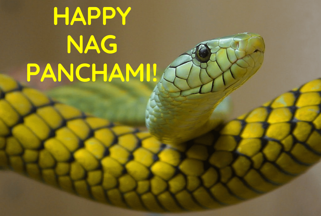Nagpanchami wishes