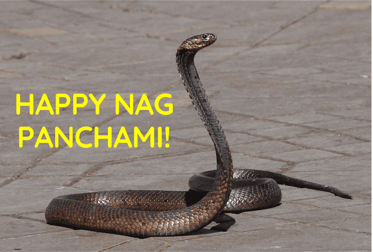 Nagpanchami wishes