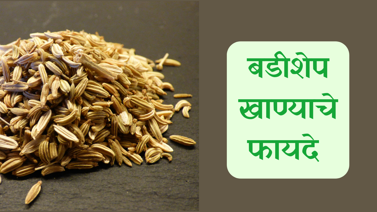 Fennel Seeds In Marathi