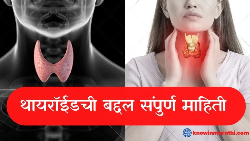 thyroid-in-marathi