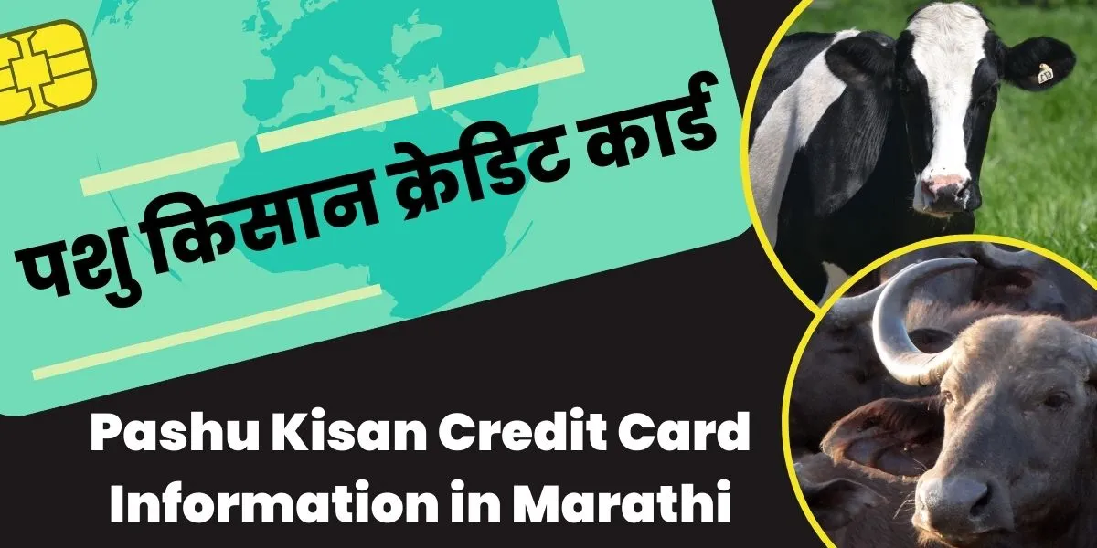 Pashu-Kisan-Credit-Card-in-Marathi