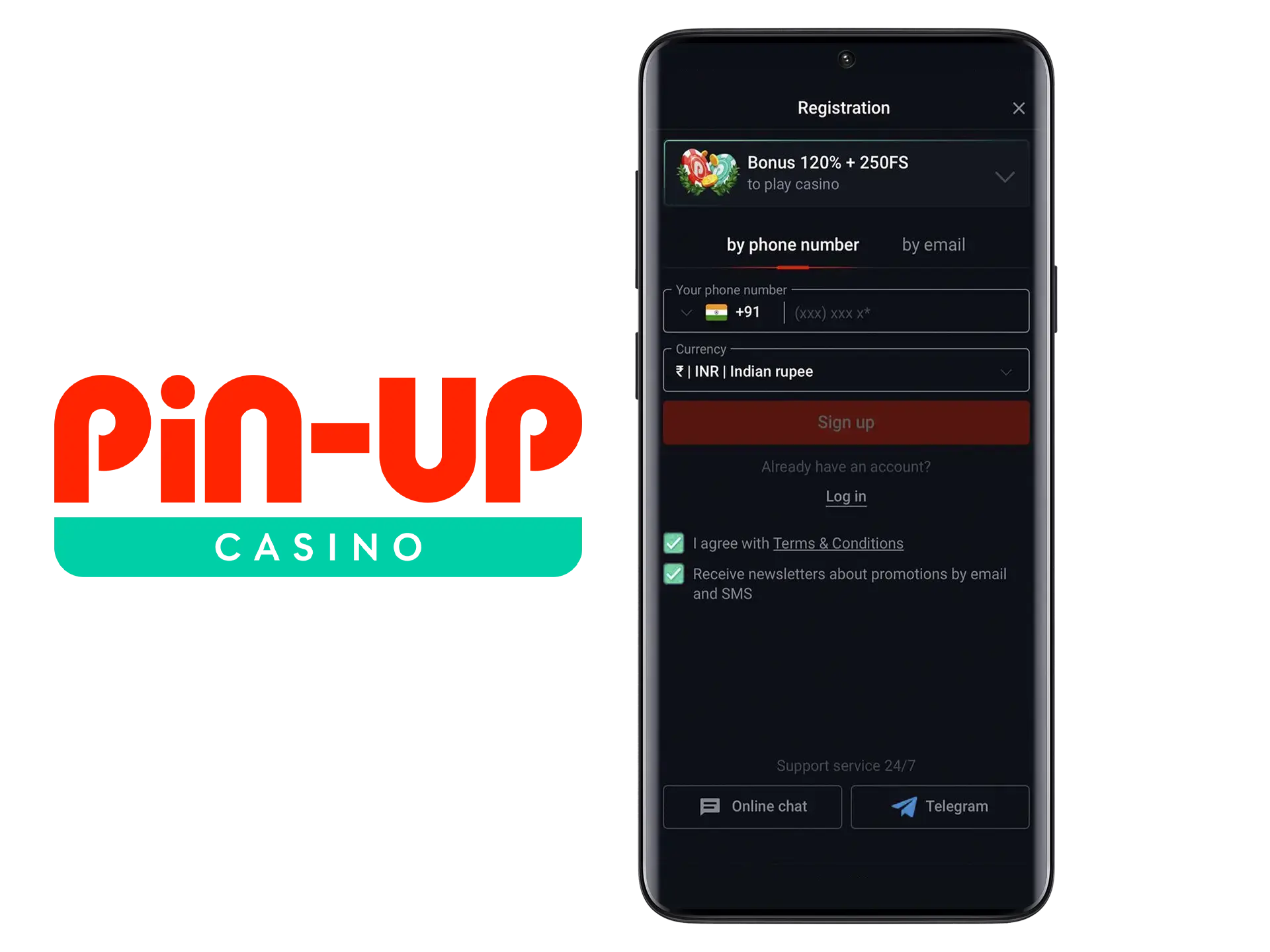 Provide Pin Up with your personal details.