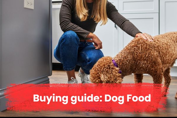 Buying guide Dog Food